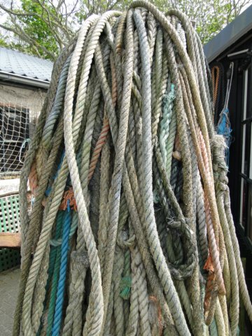 HWK Texel 323.jpg